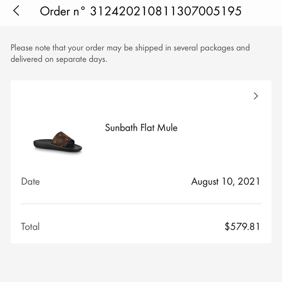 Louis Vuitton Sunbath Flat Mule size 40 like new. Only worn maybe 10 times. - Picture 10 of 10